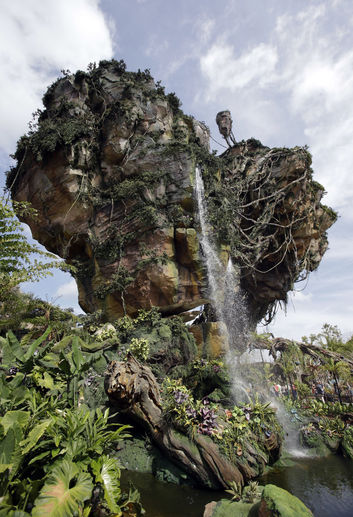 Pandora The World of Avatar Review  Living By Disney